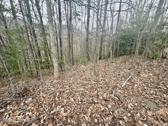 0 Thissa Way, Gatlinburg, TN 37738