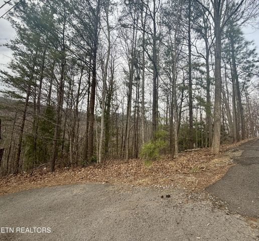 0 Thissa Way, Gatlinburg, TN 37738