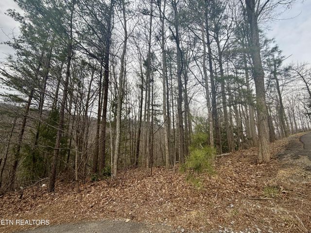 0 Thissa Way, Gatlinburg, TN 37738