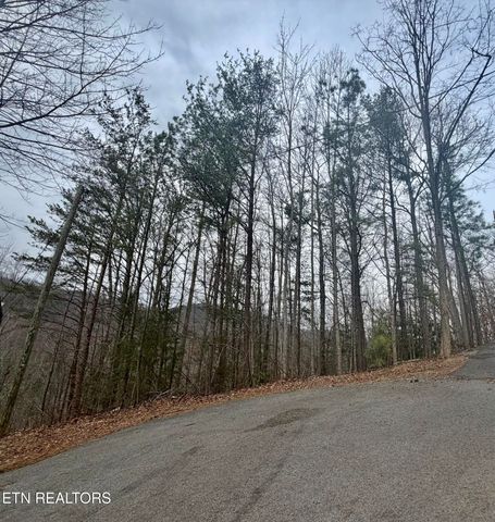 0 Thissa Way, Gatlinburg, TN 37738