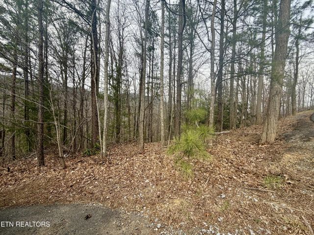 0 Thissa Way, Gatlinburg, TN 37738