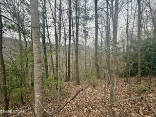 0 Thissa Way, Gatlinburg, TN 37738