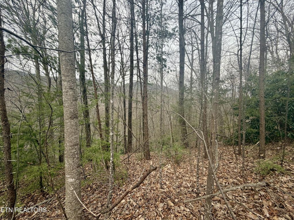 0 Thissa Way, Gatlinburg, TN 37738