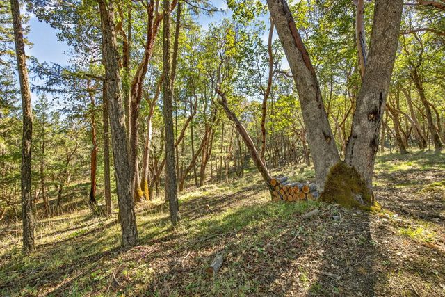 145 Lomas Road, Jacksonville, OR 97530