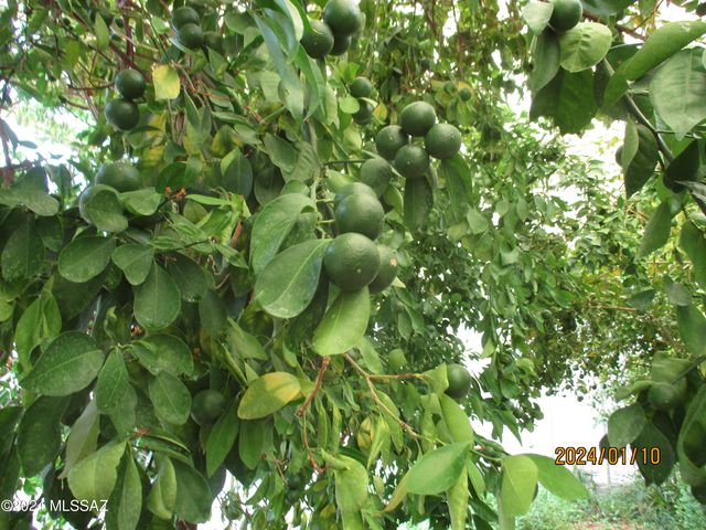 333 S IRONWOOD Lane, Willcox, AZ 85643