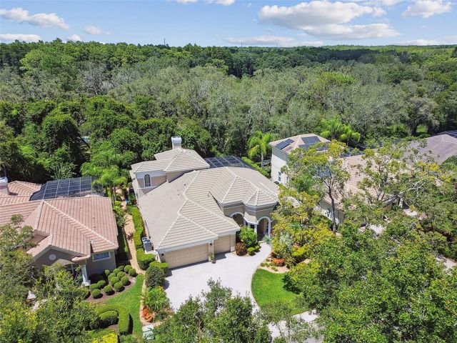 2935 GREY OAKS BOULEVARD, Tarpon Springs, FL 34688