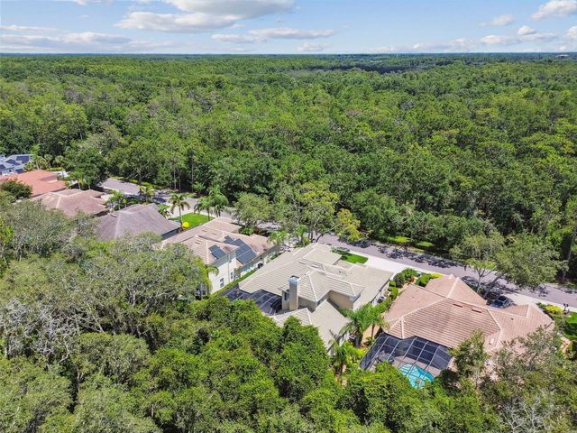 2935 GREY OAKS BOULEVARD, Tarpon Springs, FL 34688