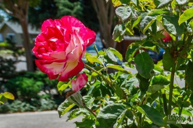 1414 Manhattan Way, Santa Rosa, CA 95401