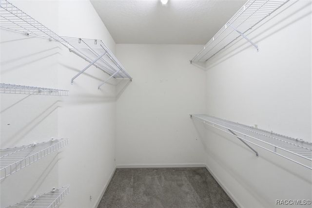 4301 N Bacall Loop, Beverly Hills, FL 34465