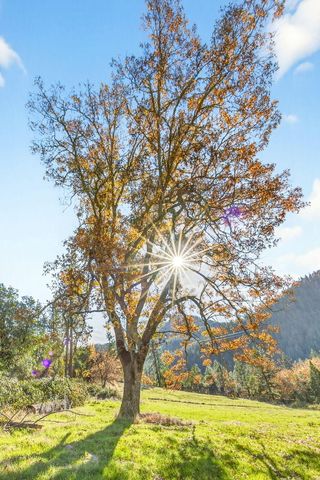 13688 Highway 238, Applegate, OR 97530