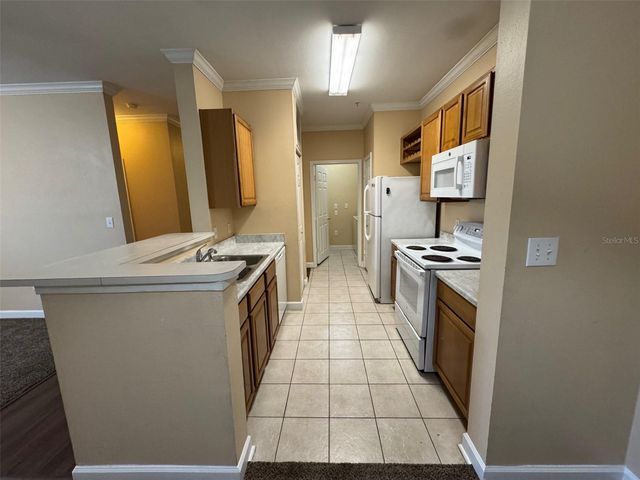 18575 BRIDLE CLUB DRIVE, Tampa, FL 33647