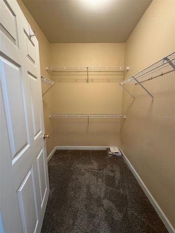 18575 BRIDLE CLUB DRIVE, Tampa, FL 33647