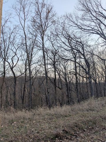 TBD Pyramid Lane, Holiday Island, AR 72631