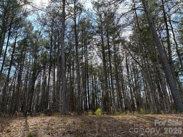 267 Brooks Springs Drive, Fort Mill, SC 29708