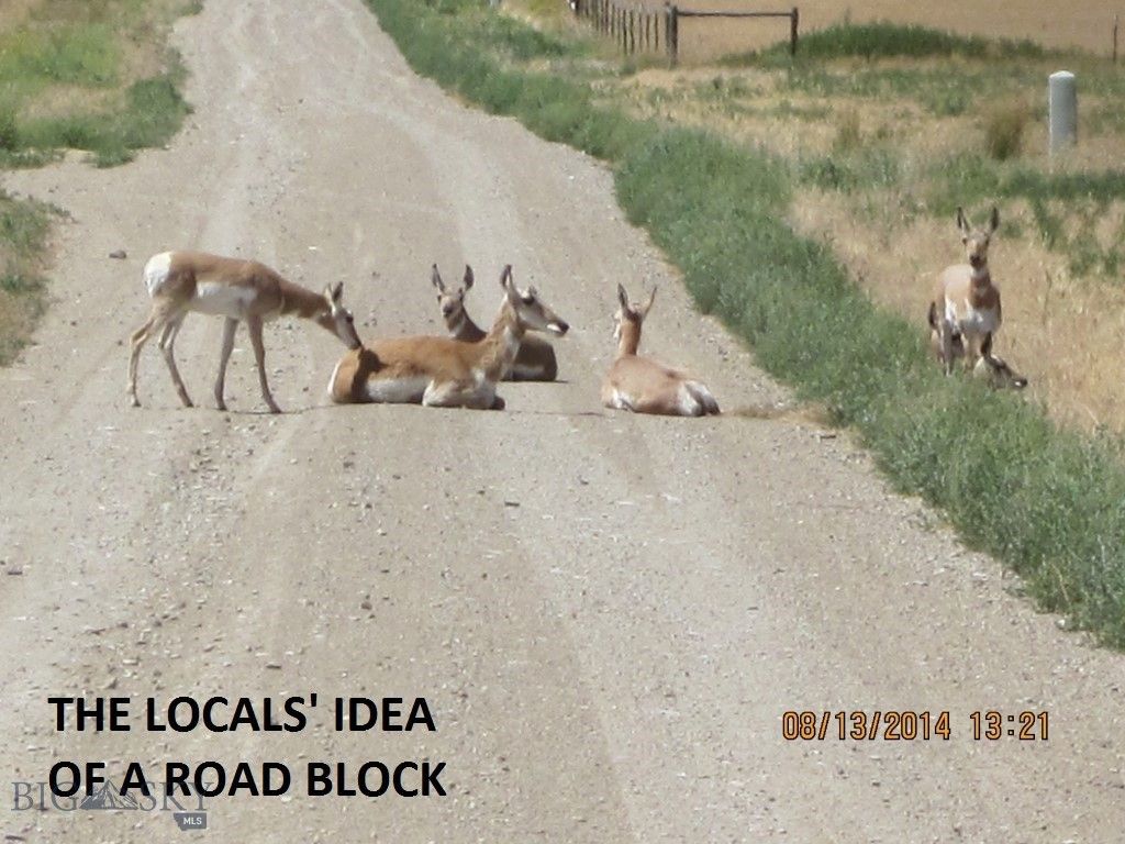 Lot 768 Miller Canyon Road, Three Forks, MT 59714 photo 10