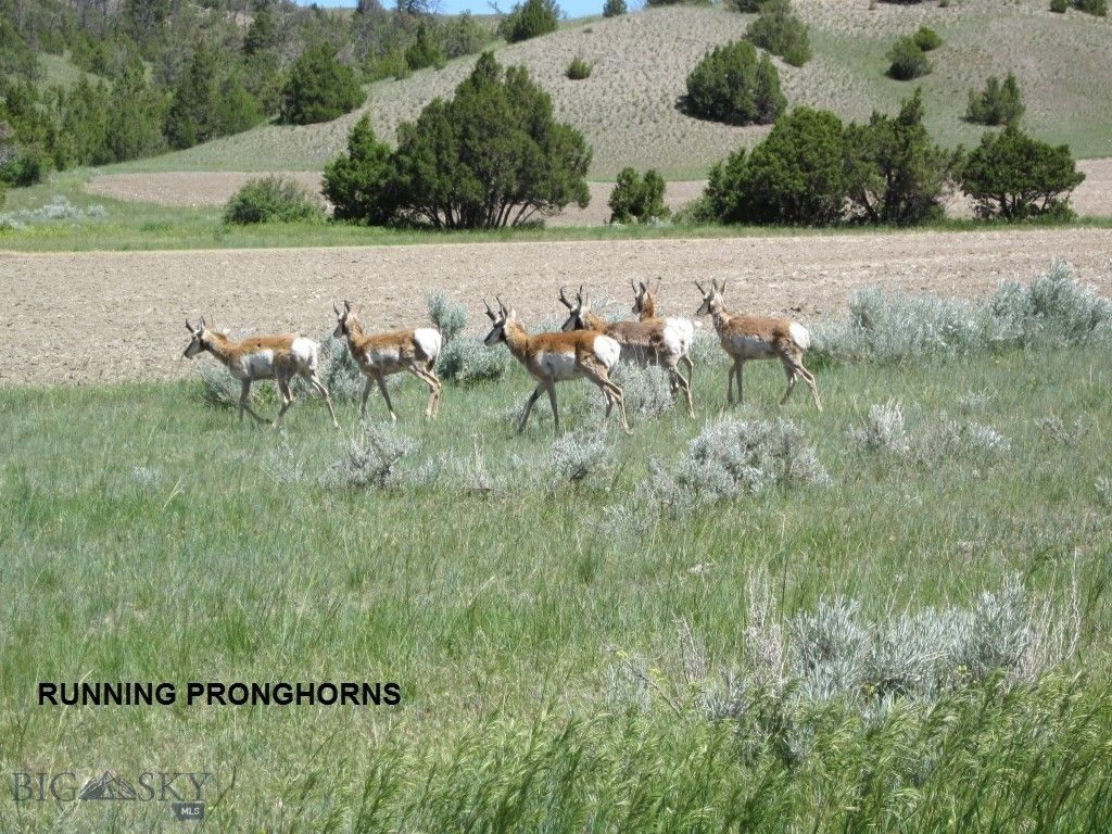 Lot 768 Miller Canyon Road, Three Forks, MT 59714 photo 11