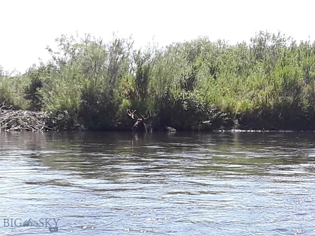 Lot 768 Miller Canyon Road, Three Forks, MT 59714 photo 13