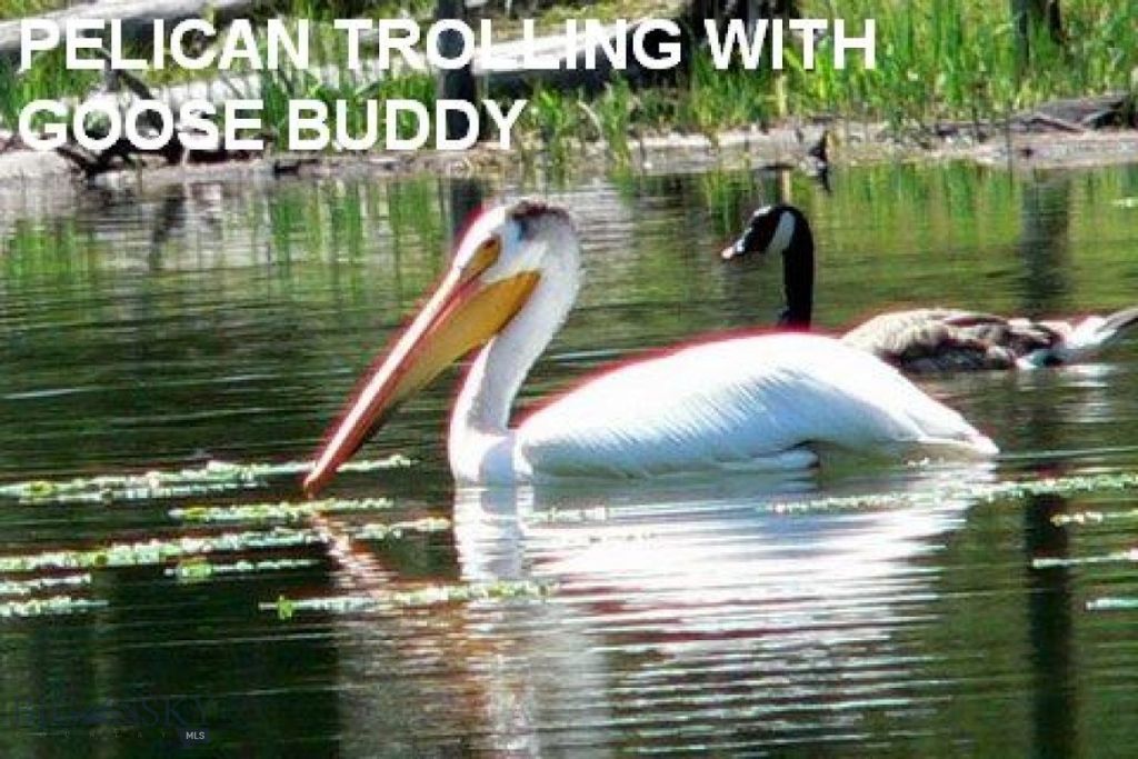 Lot 768 Miller Canyon Road, Three Forks, MT 59714 photo 18