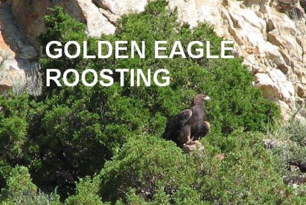 Lot 768 Miller Canyon Road, Three Forks, MT 59714 photo 6