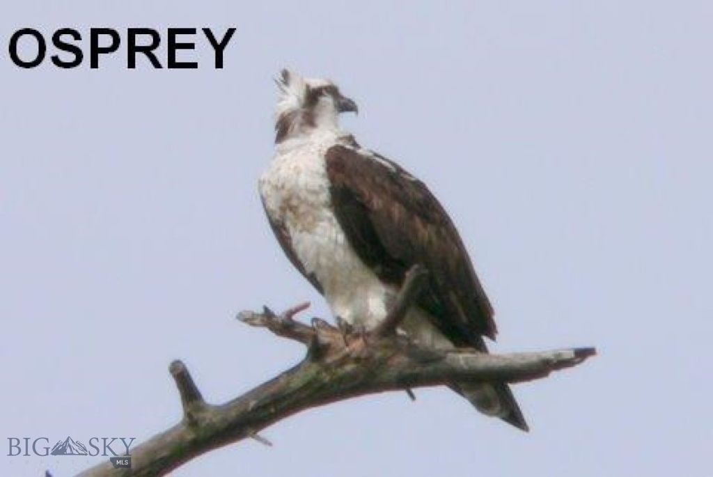 Lot 768 Miller Canyon Road, Three Forks, MT 59714 photo 7