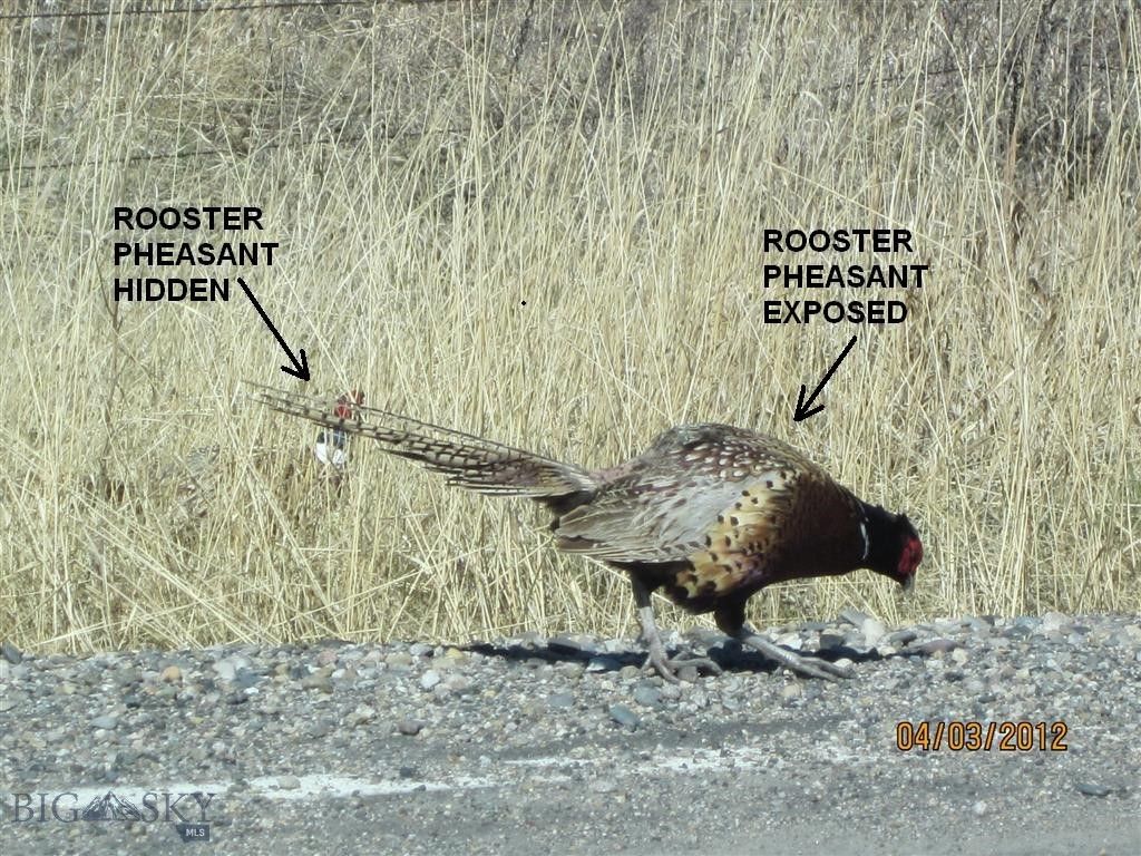 Lot 768 Miller Canyon Road, Three Forks, MT 59714 photo 9