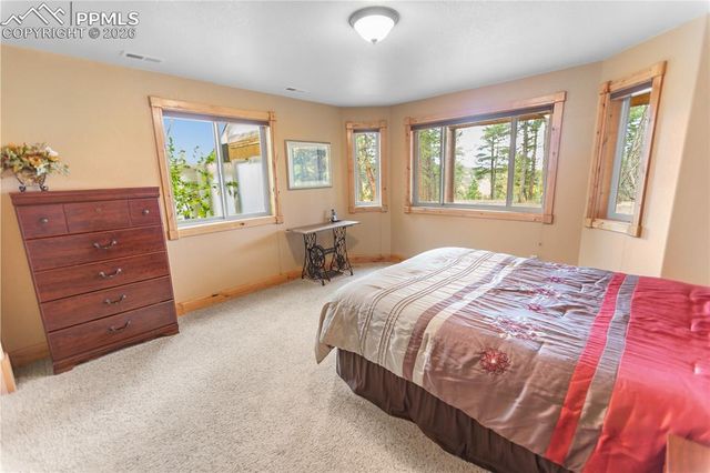 610 Cochetopa Road, Florissant, CO 80816