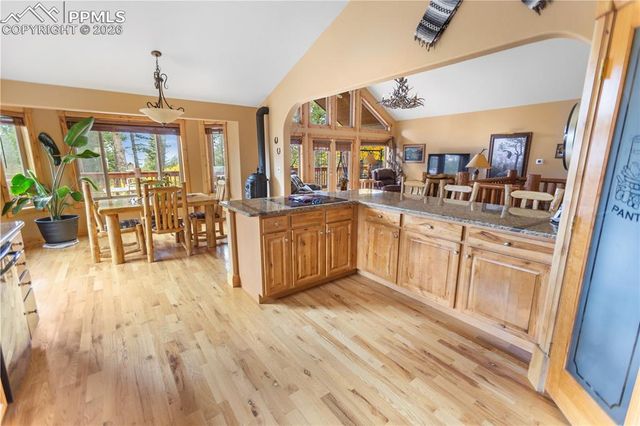 610 Cochetopa Road, Florissant, CO 80816