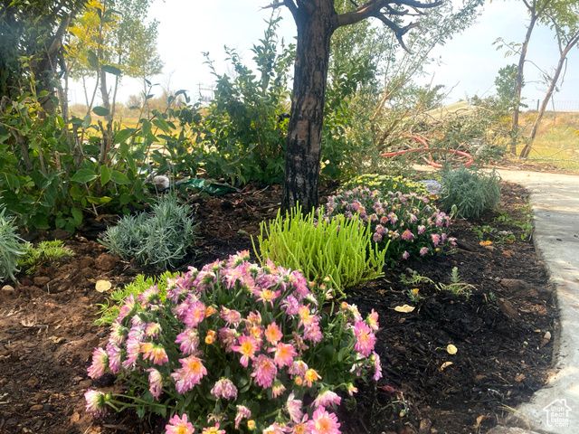 20161 W 5000 S, Duchesne, UT 84021