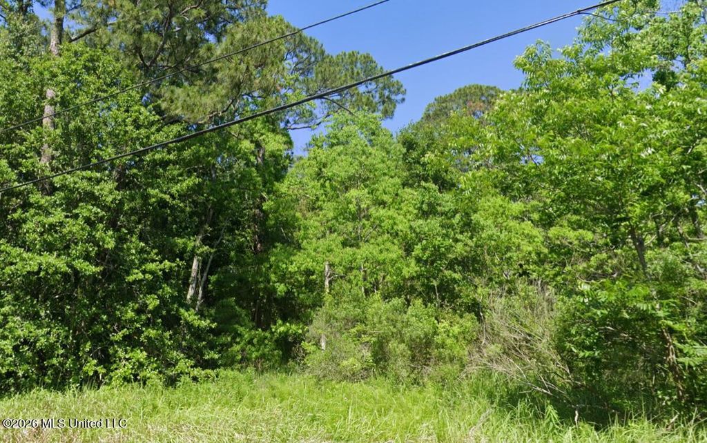 S 16th Street, Ocean Springs, MS 39564
