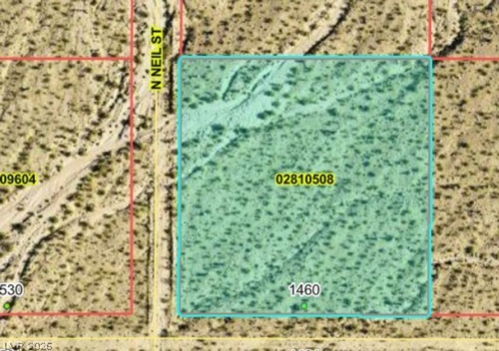 1460 West Zirconia Road, Pahrump, NV 89020