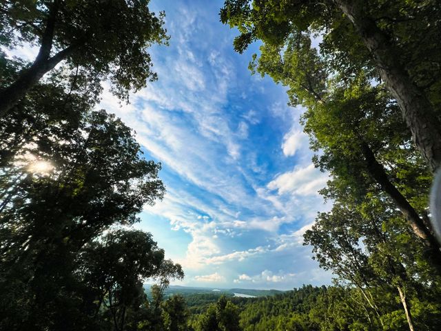 3202 Old Lego School Rd, Linden, TN 37096