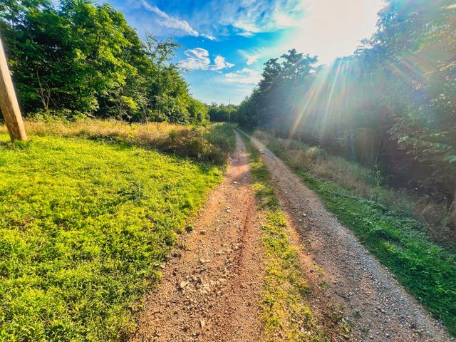 3202 Old Lego School Rd, Linden, TN 37096