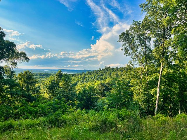 3202 Old Lego School Rd, Linden, TN 37096