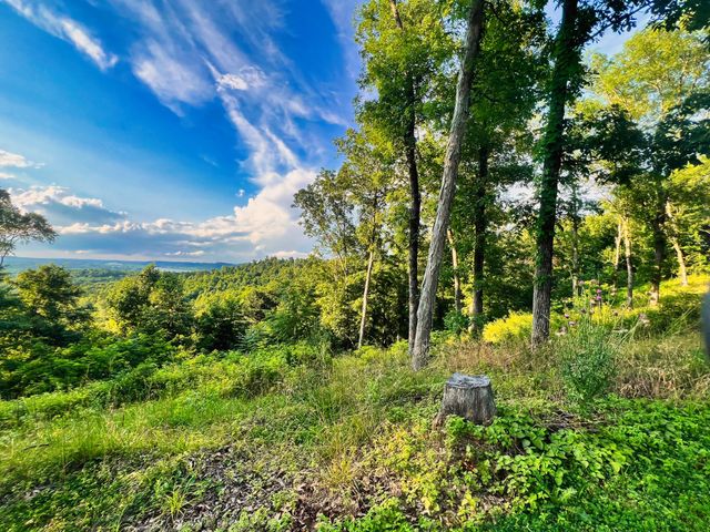 3202 Old Lego School Rd, Linden, TN 37096