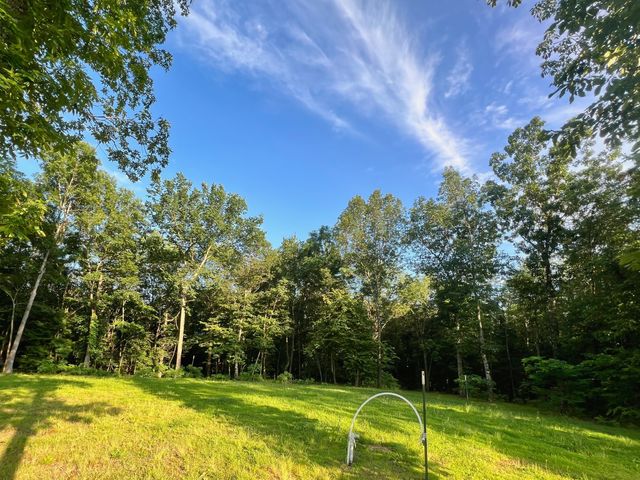 3202 Old Lego School Rd, Linden, TN 37096