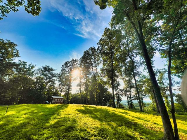 3202 Old Lego School Rd, Linden, TN 37096