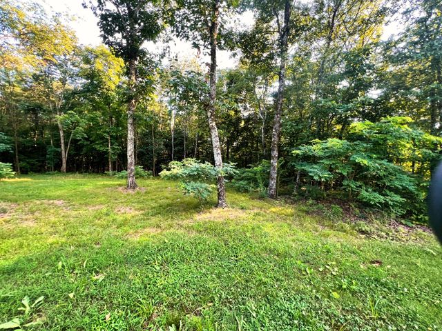 3202 Old Lego School Rd, Linden, TN 37096