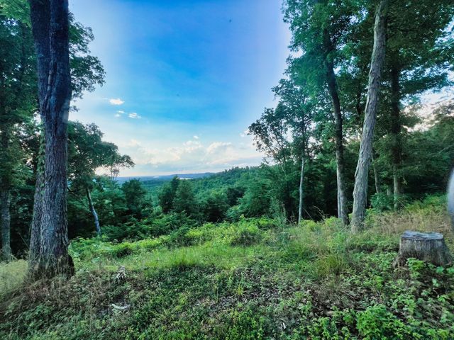 3202 Old Lego School Rd, Linden, TN 37096