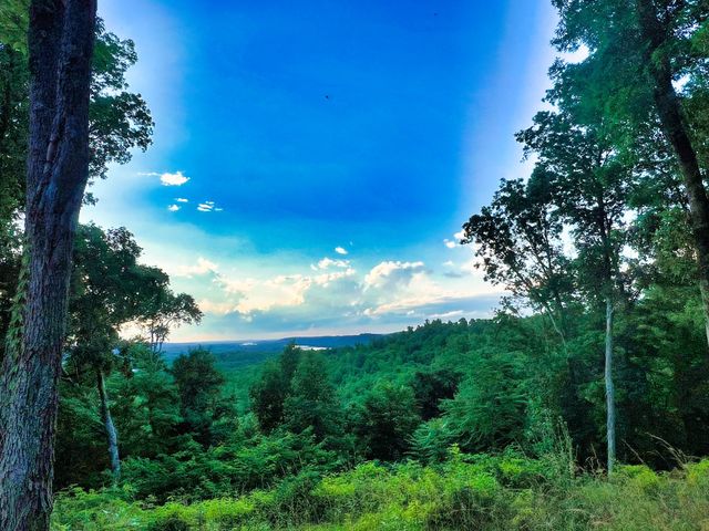 3202 Old Lego School Rd, Linden, TN 37096