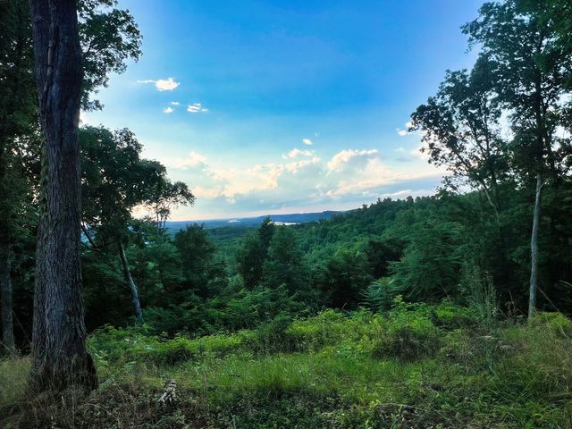 3202 Old Lego School Rd, Linden, TN 37096