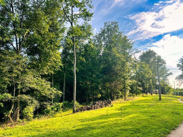 3202 Old Lego School Rd, Linden, TN 37096