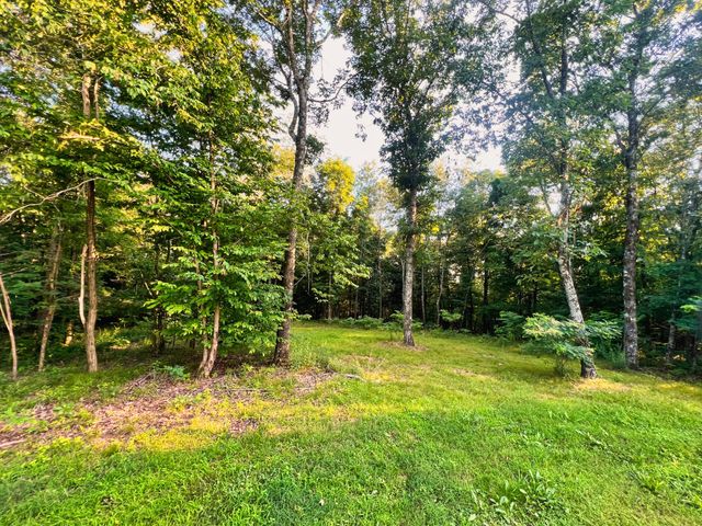 3202 Old Lego School Rd, Linden, TN 37096