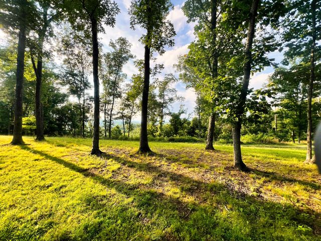 3202 Old Lego School Rd, Linden, TN 37096