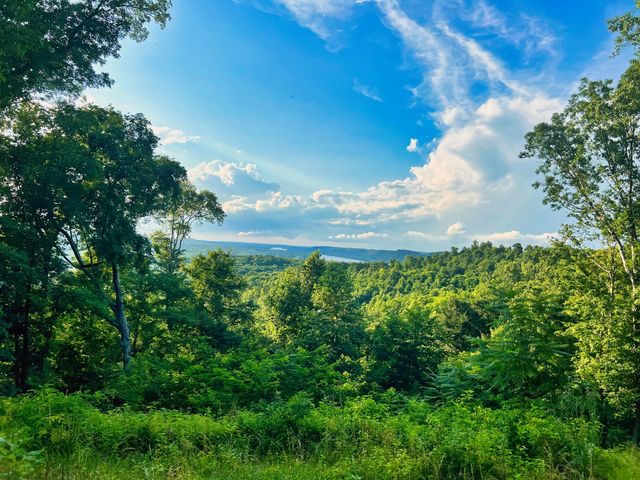 3202 Old Lego School Rd, Linden, TN 37096