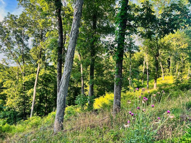 3202 Old Lego School Rd, Linden, TN 37096