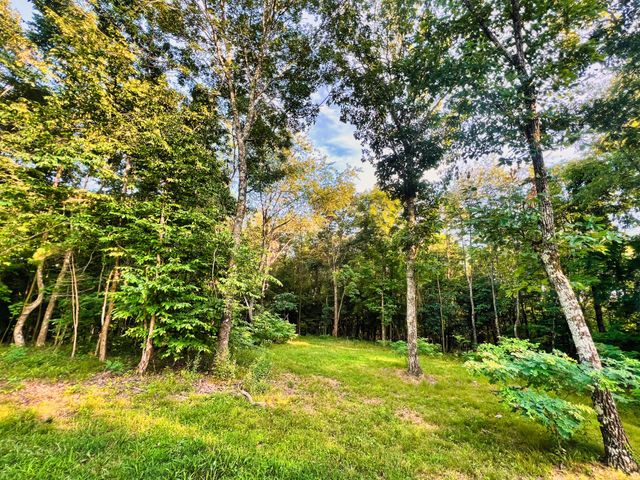 3202 Old Lego School Rd, Linden, TN 37096