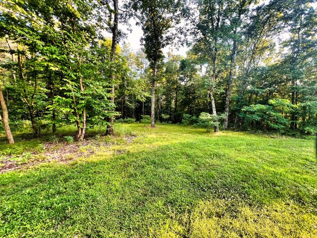 3202 Old Lego School Rd, Linden, TN 37096