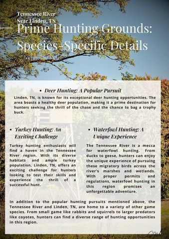 3202 Old Lego School Rd, Linden, TN 37096