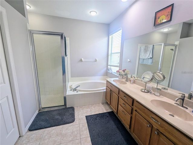 11236 BLACKSMITH DRIVE, Tampa, FL 33626