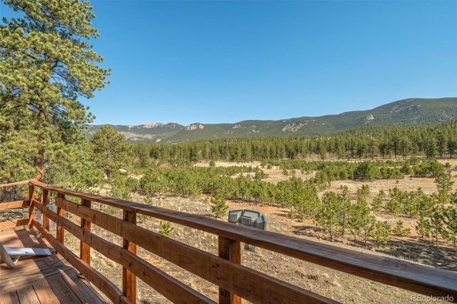 88 Neal Street, Bailey, CO 80421